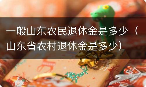 一般山东农民退休金是多少（山东省农村退休金是多少）