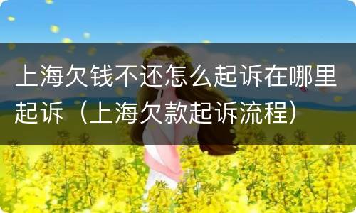 上海欠钱不还怎么起诉在哪里起诉（上海欠款起诉流程）