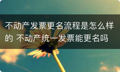 不动产发票更名流程是怎么样的 不动产统一发票能更名吗