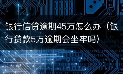 银行信贷逾期45万怎么办（银行贷款5万逾期会坐牢吗）