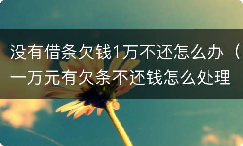 没有借条欠钱1万不还怎么办（一万元有欠条不还钱怎么处理）
