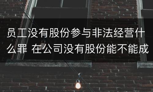 员工没有股份参与非法经营什么罪 在公司没有股份能不能成为法人