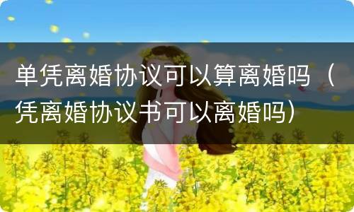 单凭离婚协议可以算离婚吗（凭离婚协议书可以离婚吗）