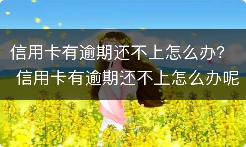 信用卡有逾期还不上怎么办？ 信用卡有逾期还不上怎么办呢