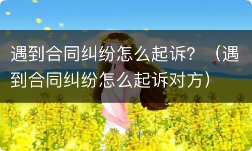 遇到合同纠纷怎么起诉？（遇到合同纠纷怎么起诉对方）