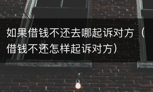 如果借钱不还去哪起诉对方（借钱不还怎样起诉对方）