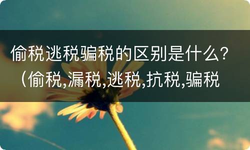 偷税逃税骗税的区别是什么？（偷税,漏税,逃税,抗税,骗税的区别是什么）