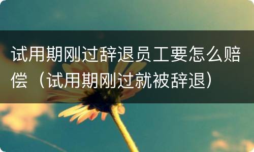 试用期刚过辞退员工要怎么赔偿（试用期刚过就被辞退）