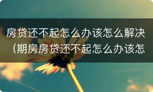 房贷还不起怎么办该怎么解决（期房房贷还不起怎么办该怎么解决）