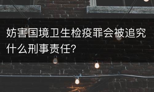 妨害国境卫生检疫罪会被追究什么刑事责任？