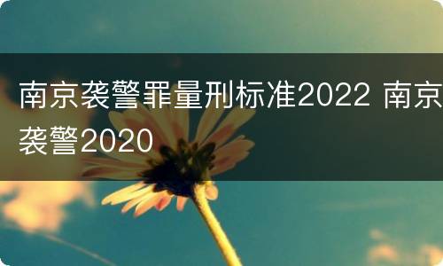南京袭警罪量刑标准2022 南京袭警2020