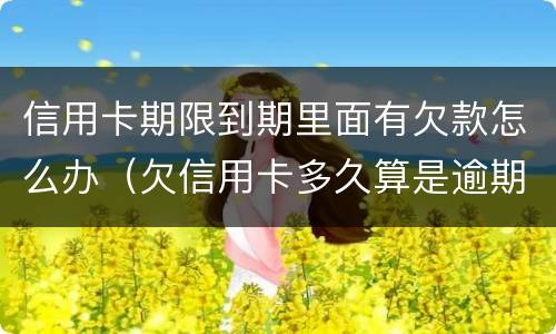 信用卡期限到期里面有欠款怎么办（欠信用卡多久算是逾期）