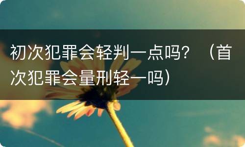 初次犯罪会轻判一点吗？（首次犯罪会量刑轻一吗）