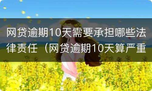 网贷逾期10天需要承担哪些法律责任（网贷逾期10天算严重啊）