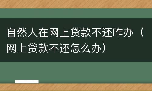 自然人在网上贷款不还咋办（网上贷款不还怎么办）