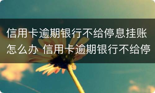 信用卡逾期银行不给停息挂账怎么办 信用卡逾期银行不给停息挂账怎么办呢