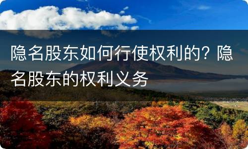 隐名股东如何行使权利的? 隐名股东的权利义务
