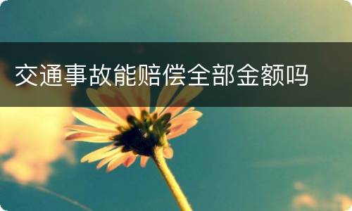 交通事故能赔偿全部金额吗