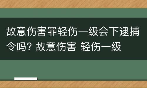 故意伤害罪轻伤一级会下逮捕令吗? 故意伤害 轻伤一级