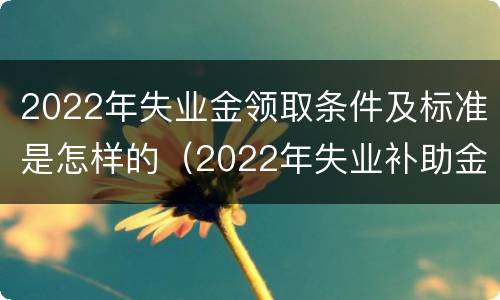 2022年失业金领取条件及标准是怎样的（2022年失业补助金最新规定）