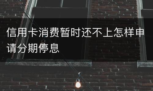 信用卡消费暂时还不上怎样申请分期停息
