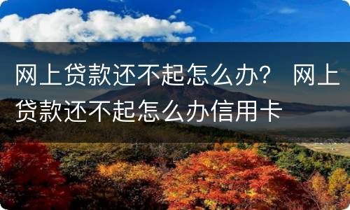 网上贷款还不起怎么办？ 网上贷款还不起怎么办信用卡