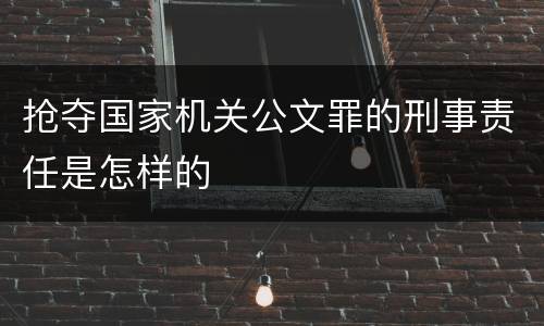 抢夺国家机关公文罪的刑事责任是怎样的