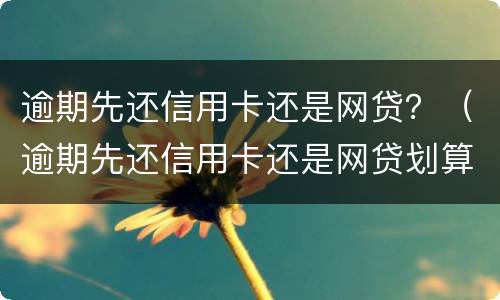 逾期先还信用卡还是网贷？（逾期先还信用卡还是网贷划算）