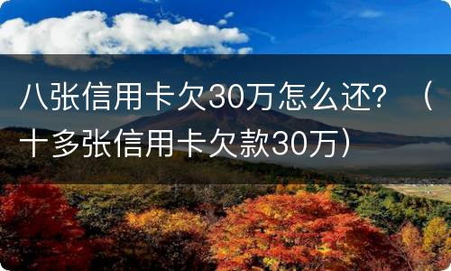 八张信用卡欠30万怎么还？（十多张信用卡欠款30万）