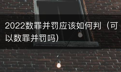 2022数罪并罚应该如何判（可以数罪并罚吗）