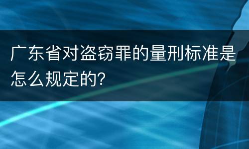 广东省对盗窃罪的量刑标准是怎么规定的？
