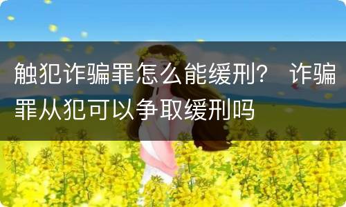 触犯诈骗罪怎么能缓刑？ 诈骗罪从犯可以争取缓刑吗