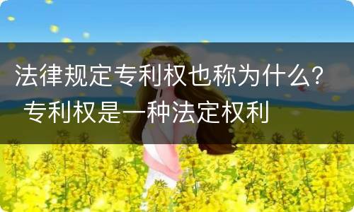 法律规定专利权也称为什么？ 专利权是一种法定权利