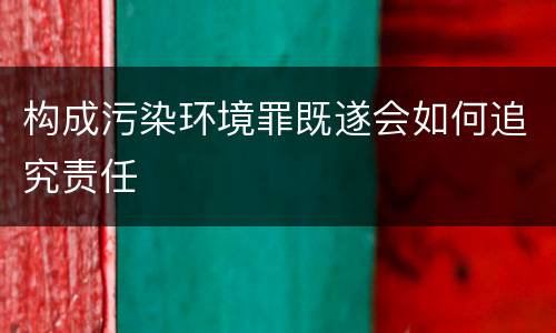 构成污染环境罪既遂会如何追究责任
