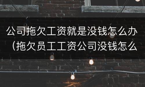 公司拖欠工资就是没钱怎么办（拖欠员工工资公司没钱怎么办）