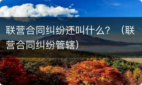 联营合同纠纷还叫什么？（联营合同纠纷管辖）