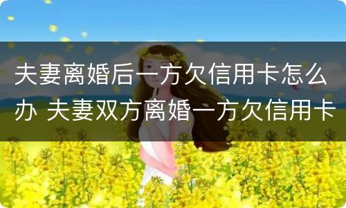 夫妻离婚后一方欠信用卡怎么办 夫妻双方离婚一方欠信用卡怎么处理