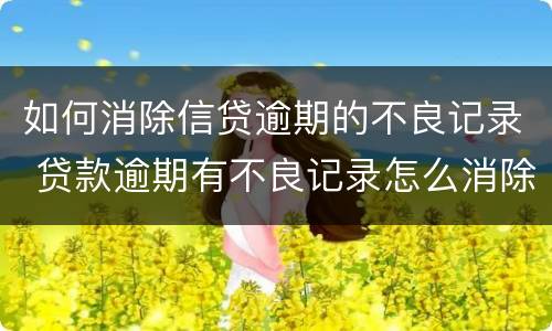 如何消除信贷逾期的不良记录 贷款逾期有不良记录怎么消除