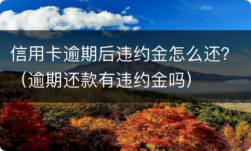 信用卡逾期后违约金怎么还？（逾期还款有违约金吗）