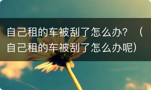 自己租的车被刮了怎么办？（自己租的车被刮了怎么办呢）