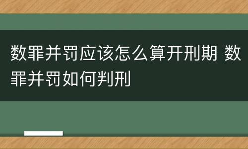 数罪并罚应该怎么算开刑期 数罪并罚如何判刑