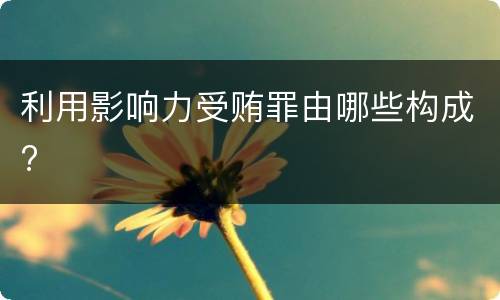 利用影响力受贿罪由哪些构成?