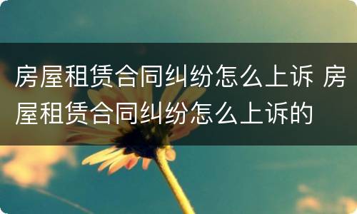 房屋租赁合同纠纷怎么上诉 房屋租赁合同纠纷怎么上诉的