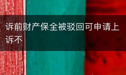 诉前财产保全被驳回可申请上诉不