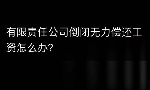 有限责任公司倒闭无力偿还工资怎么办？