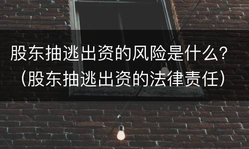 股东抽逃出资的风险是什么？（股东抽逃出资的法律责任）