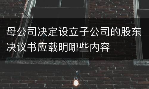 母公司决定设立子公司的股东决议书应载明哪些内容