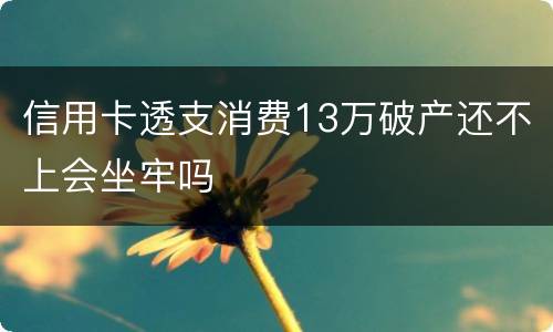 信用卡透支消费13万破产还不上会坐牢吗