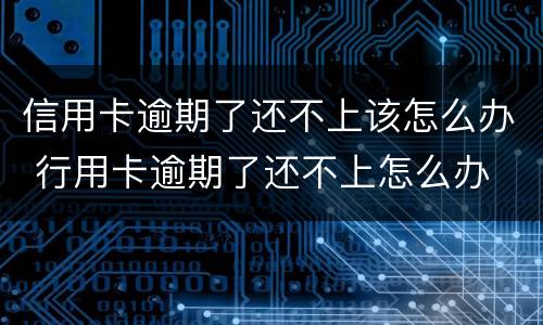信用卡逾期了还不上该怎么办 行用卡逾期了还不上怎么办
