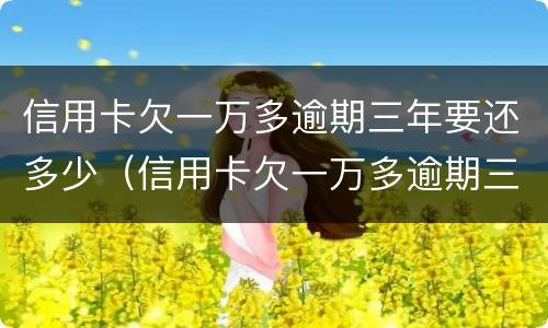 信用卡欠一万多逾期三年要还多少（信用卡欠一万多逾期三年要还多少本金）
